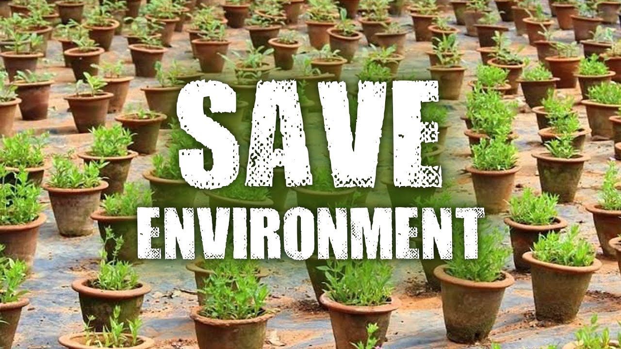 Tree Plantation - Your Contribution to Save Earth & Environment at MP.MYGOV.IN