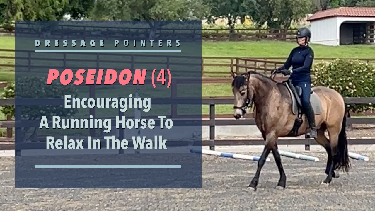 POSEIDON (4) Riding Reset: Lightening The Rein Contact To Keep A Horse From Running