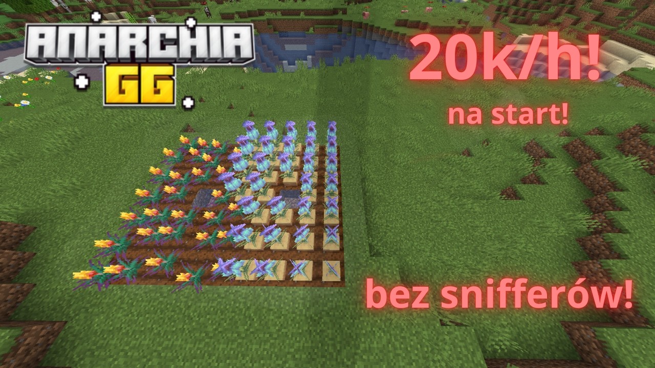 Sposób dzięki któremu zarobisz 20k/h! na Anarchia.gg
