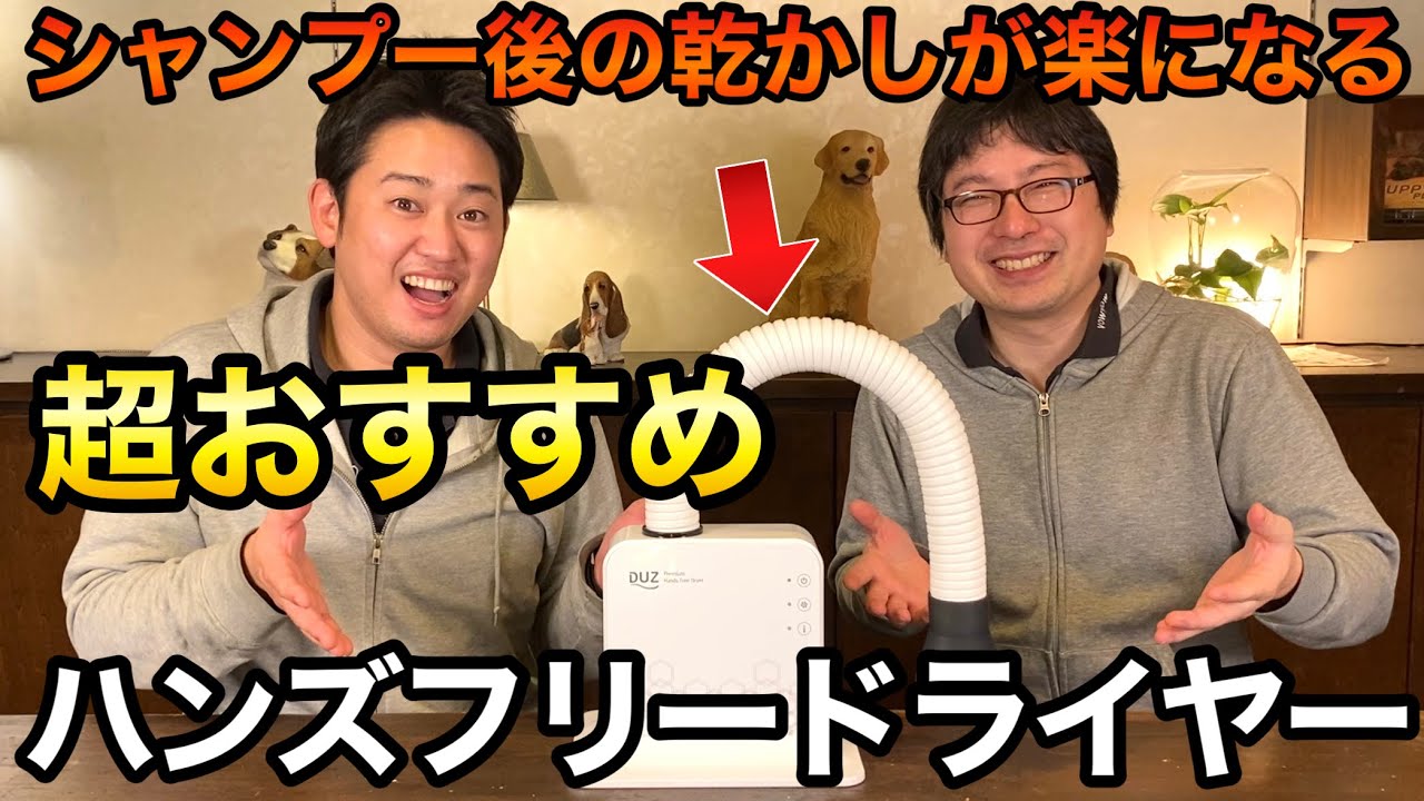 愛犬のシャンプー後の乾かしが超絶楽になる！【コンパクトハンズフリードライヤーDuz】開封レビュー～動作検証まで！