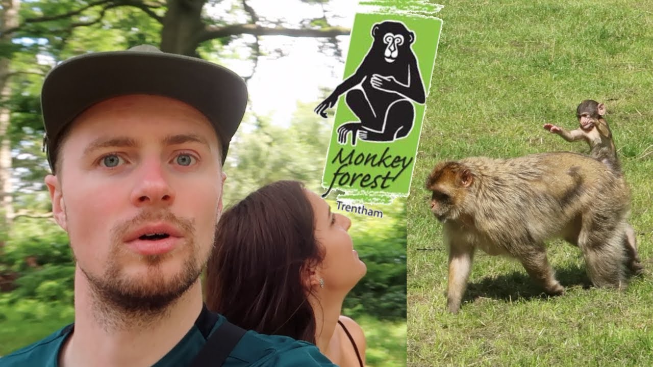 MONKEY FOREST TRENTHAM