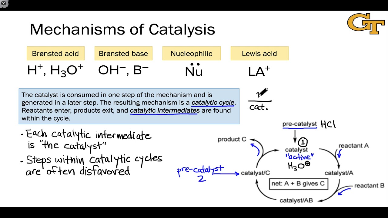 01.03 Mechanisms of Catalysis