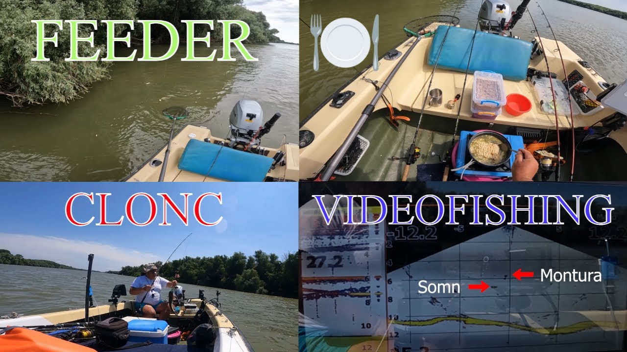 La feeder și clonc  - videofishing