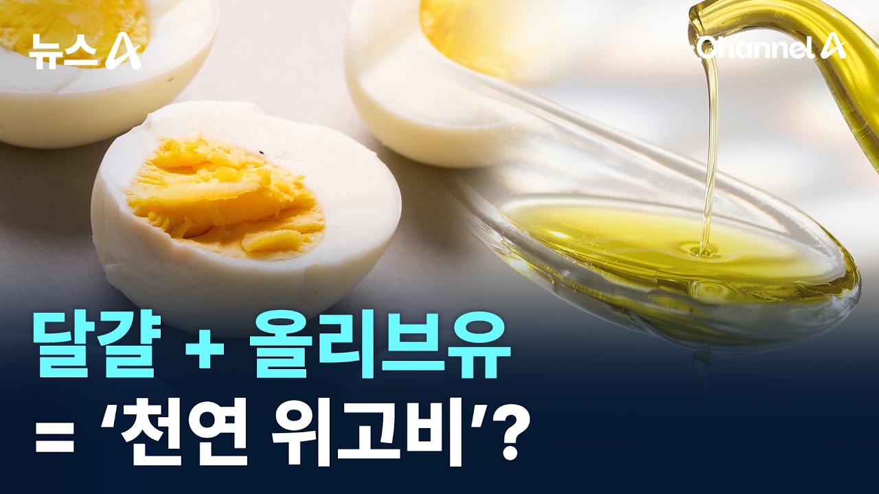 달걀 + 올리브유 = &lsquo;천연 위고비&rsquo;? / 채널A / 뉴스A