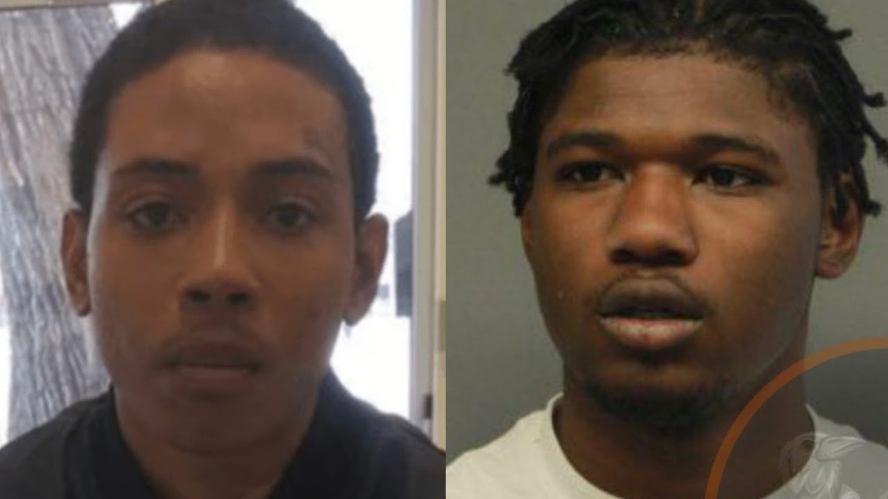 В отчете CPD сообщается, что один из членов группы 800 заявил о своей ответственности за убийства...