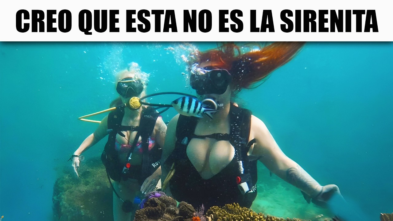 14 MINUTOS DE MEMES