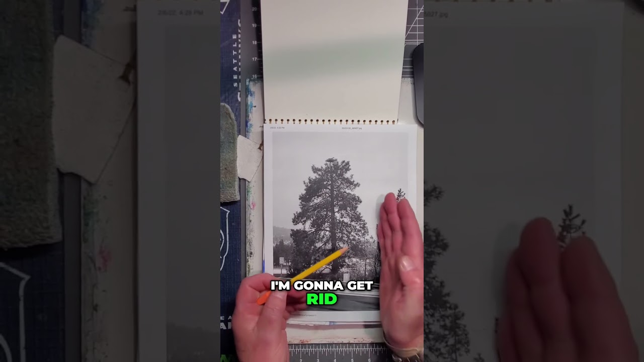 Reference Photo Editing:  Nature Over Man-Made Elements!