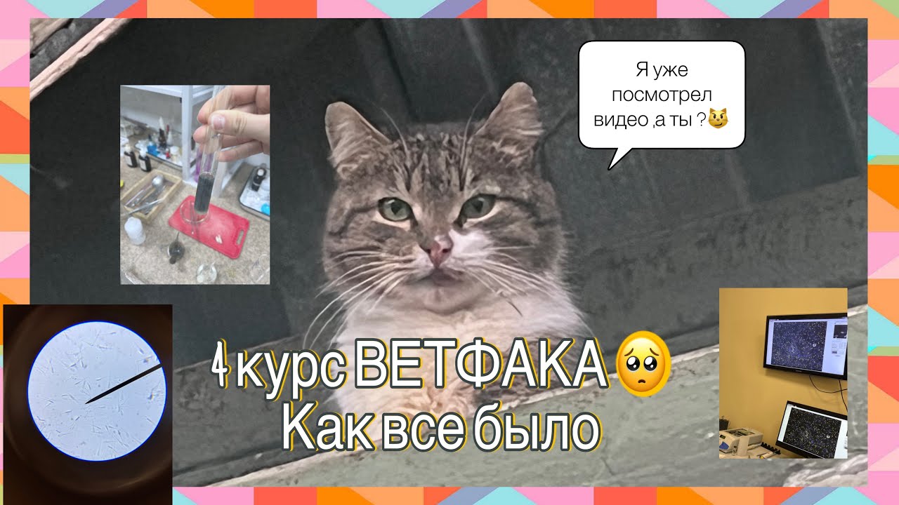 4 курс на ВЕТФАКЕ 🫣|| Что было за этот год ||Когда диплом 😄😂