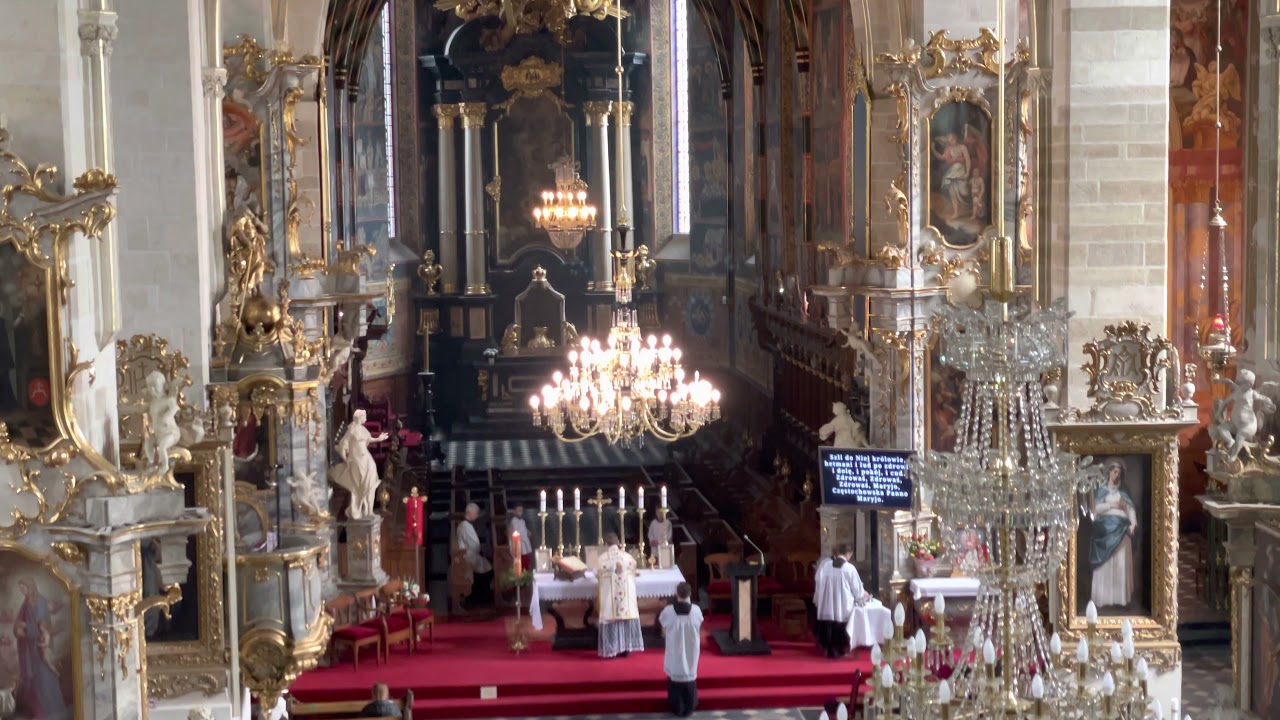 323- Ze wzgórz Częstochowy | Katedra Sandomierz