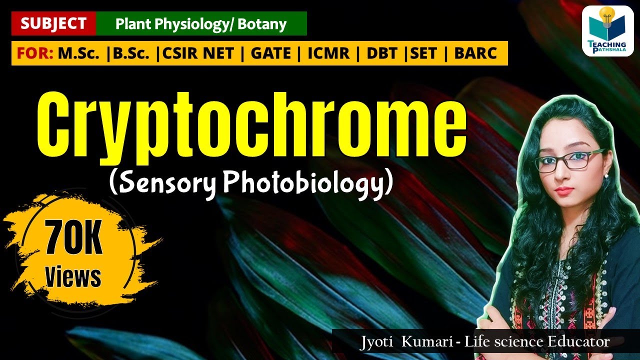 CRYPTOCHROME  | CSIR-NET | GATE | BARC | Plant Biology | Sensory Photobiology