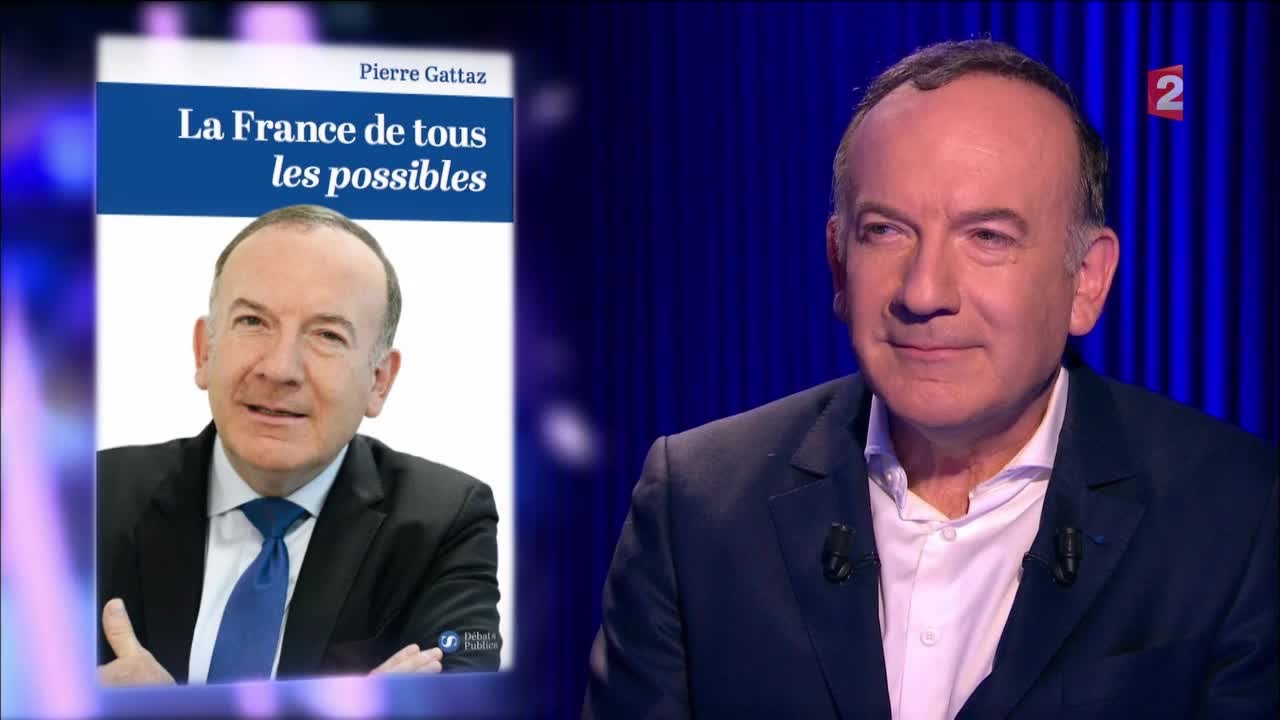 Pierre Gattaz - On n'est pas couché - 16 avril 2016 #ONPC