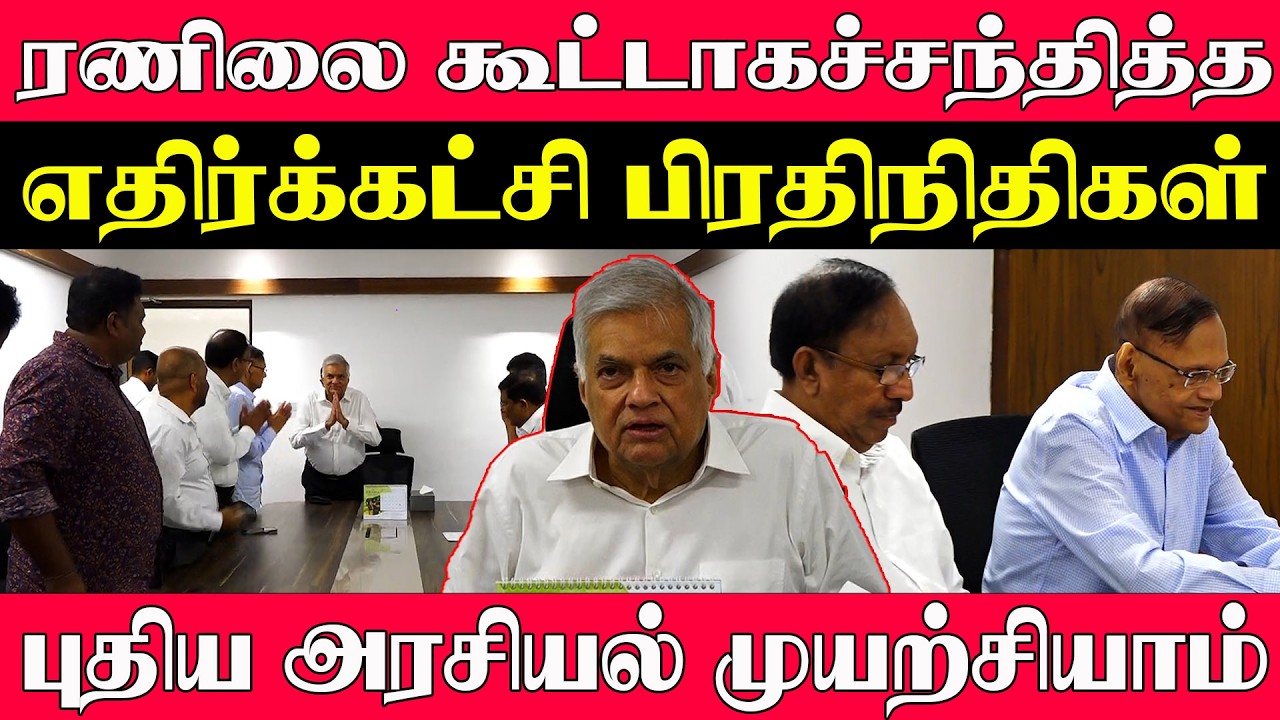 ரணிலை கூட்டாகச் சந்தித்த எதிர்க்கட்சி பிரதிநிதிகள் புதிய அரசியல் முயற்சியாம்