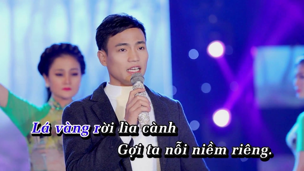 Karaoke Mưa rừng (tone Nam -Dm) - Hà Thế Dũng | Album Khúc Tình Xuyên Thời Gian(#HaTheDung)