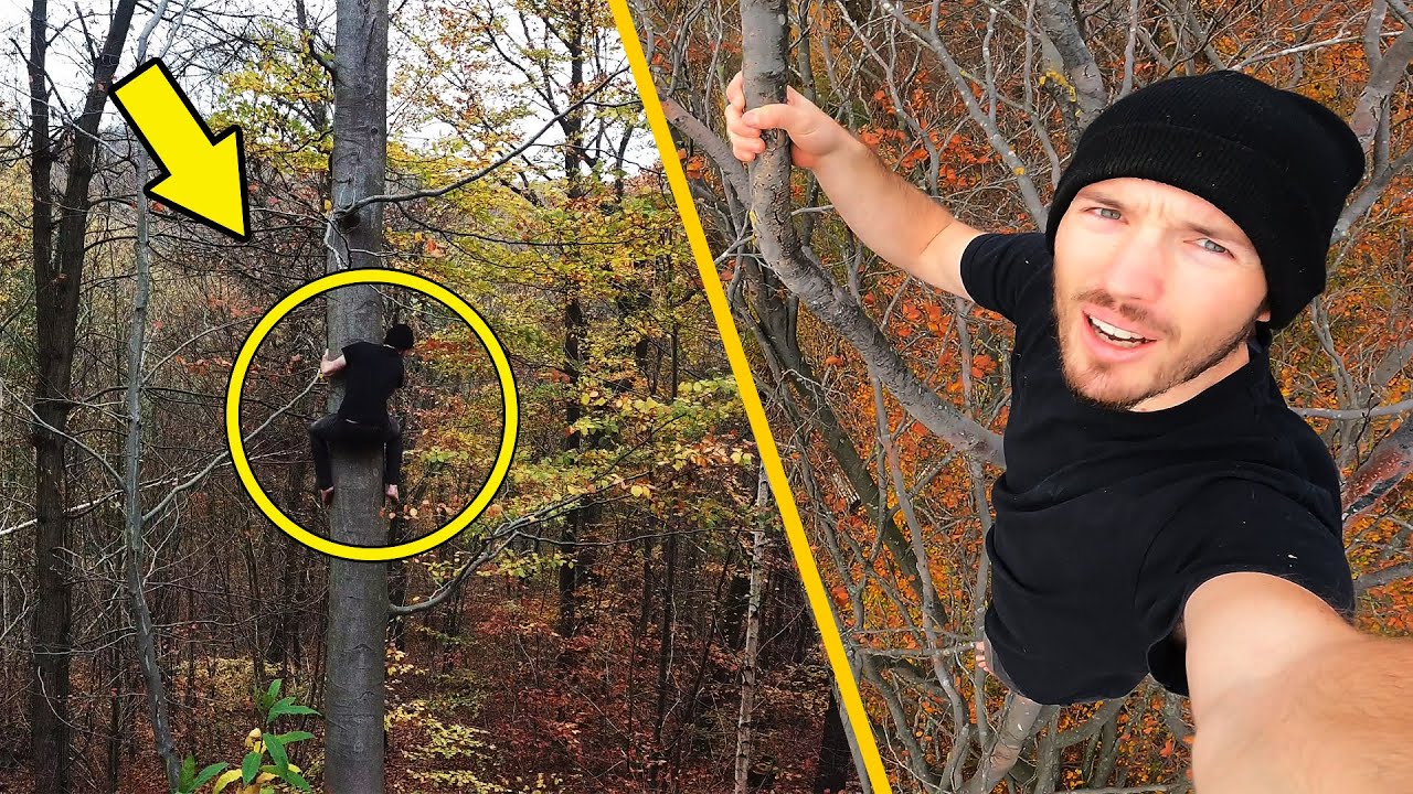 COMMENT GRIMPER N'IMPORTE QUEL ARBRE (Sans corde) Ft Leo Urban