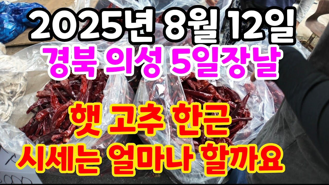 시장에 햇 고추가 나오는데 말린 건고추 한근  가격이 궁금해서 찾아 가 보았습니다 