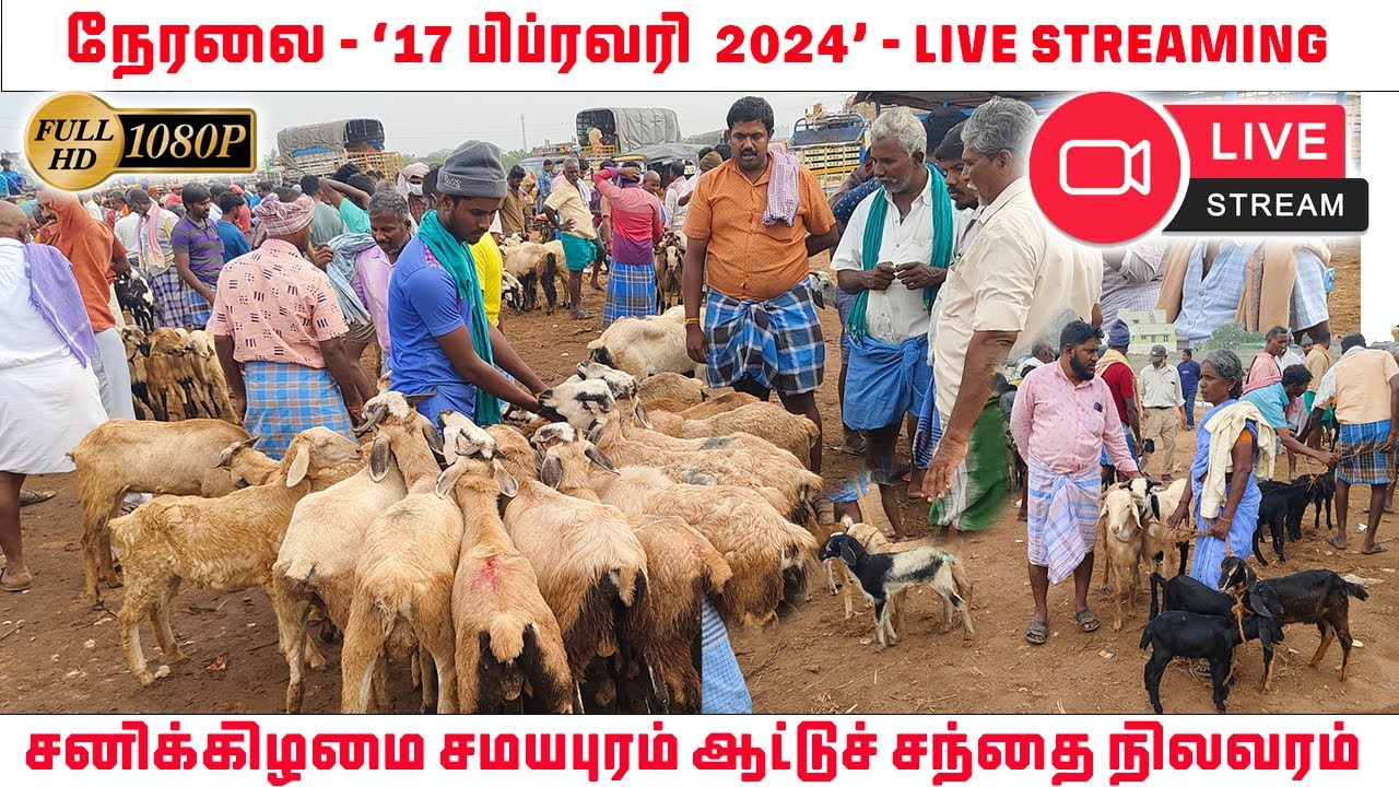 LIVE - நேரலை - திருச்சி சமயபுரம் ஆட்டுச் சந்தை நிலவரம் | SAMAYAPURAM GOAT MARKET | TAMILNADU PETS