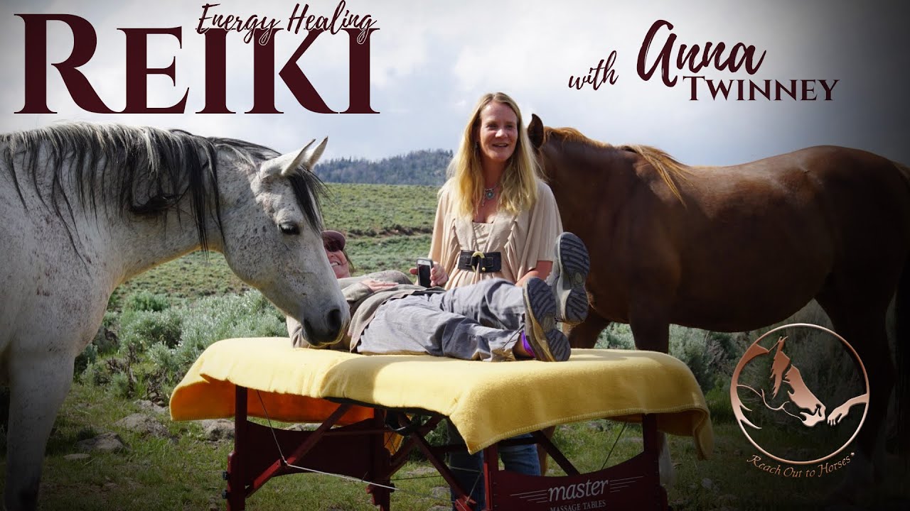 Horses Choosing Oils and Incorporating into Reiki Healing in Costa Rica on the Journey in Paradise