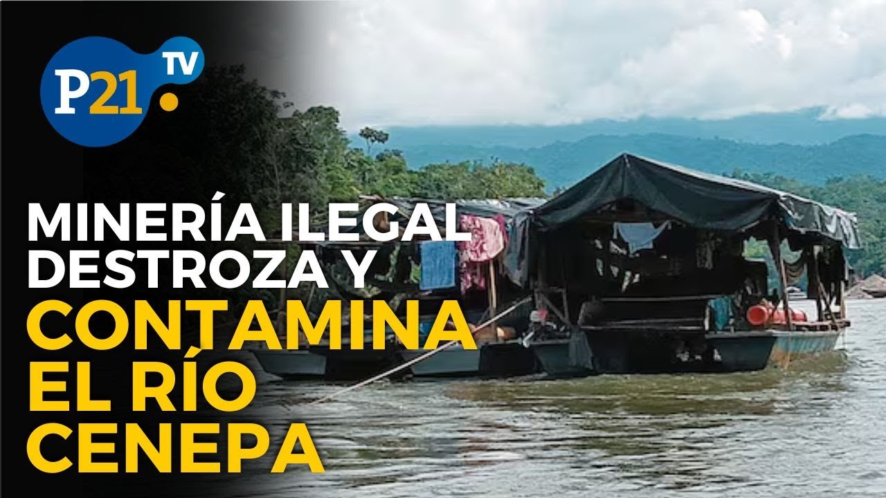 MINERÍA ILEGAL en SELVA DEL PERÚ destroza y contamina el RÍO CENEPA - Informe21