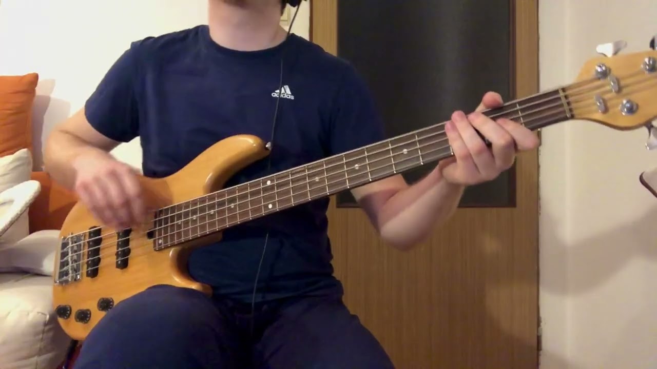 Toto - I’ll supply the Love (Bass Cover)