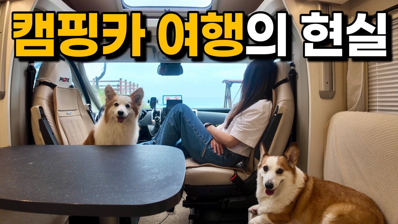 [4k] 여행의 피로를 한 방에 날려버리는 환상적인 뷰를 경험 할 수 있는 캠핑카 여행의 현실은?? / 현지인 들이 많이 찾는 숨은 맛집? 망치 매운탕! / 반려견동반 캠핑카여행