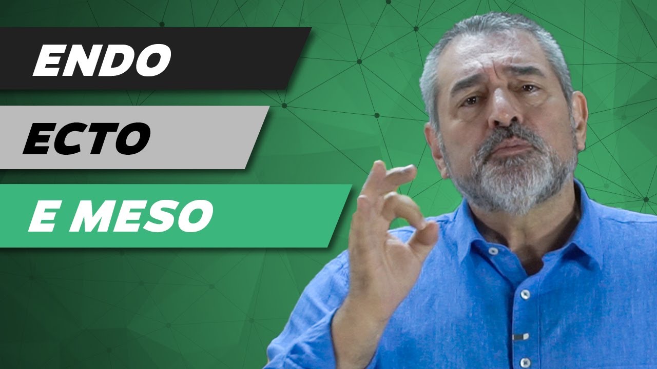 Endo, Ecto e Meso e Doenças Características