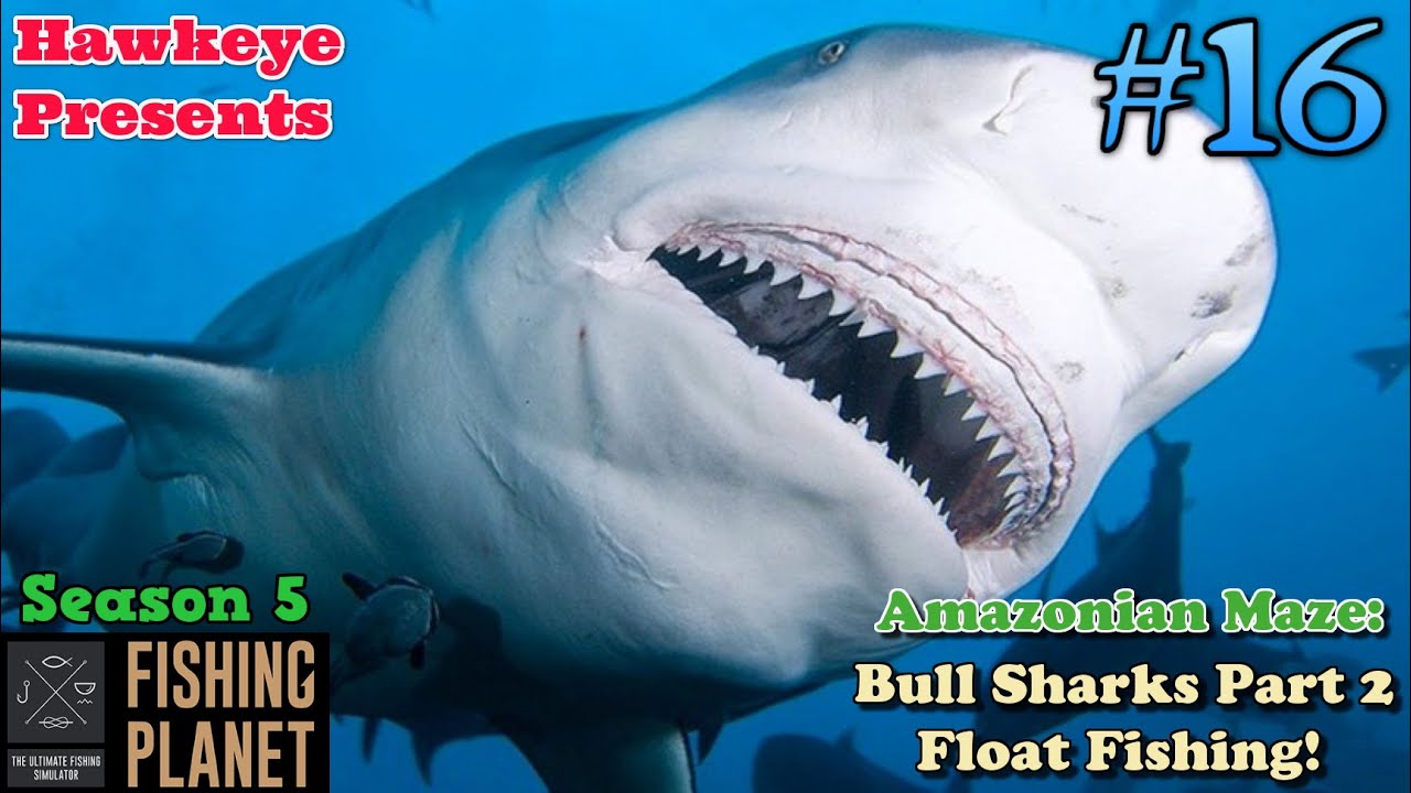Fishing Planet #16 - S5 | Amazonian Maze: Bull Sharks - Part 2 - Float Fishing!