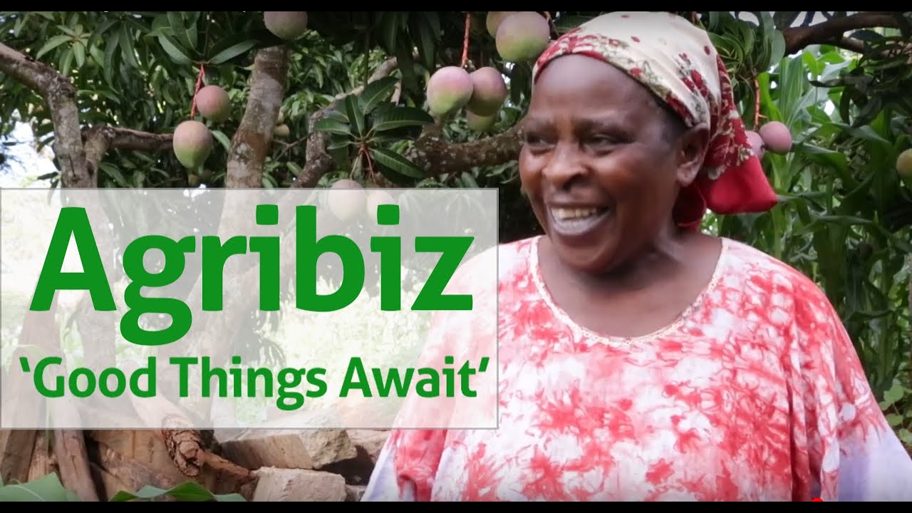 Good Things Await-Agribusiness for Youth and Women