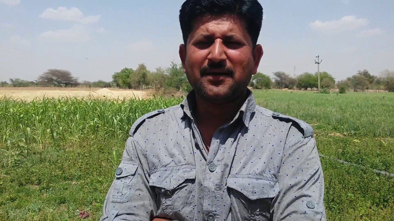 Lucid Colloids Guar Farming