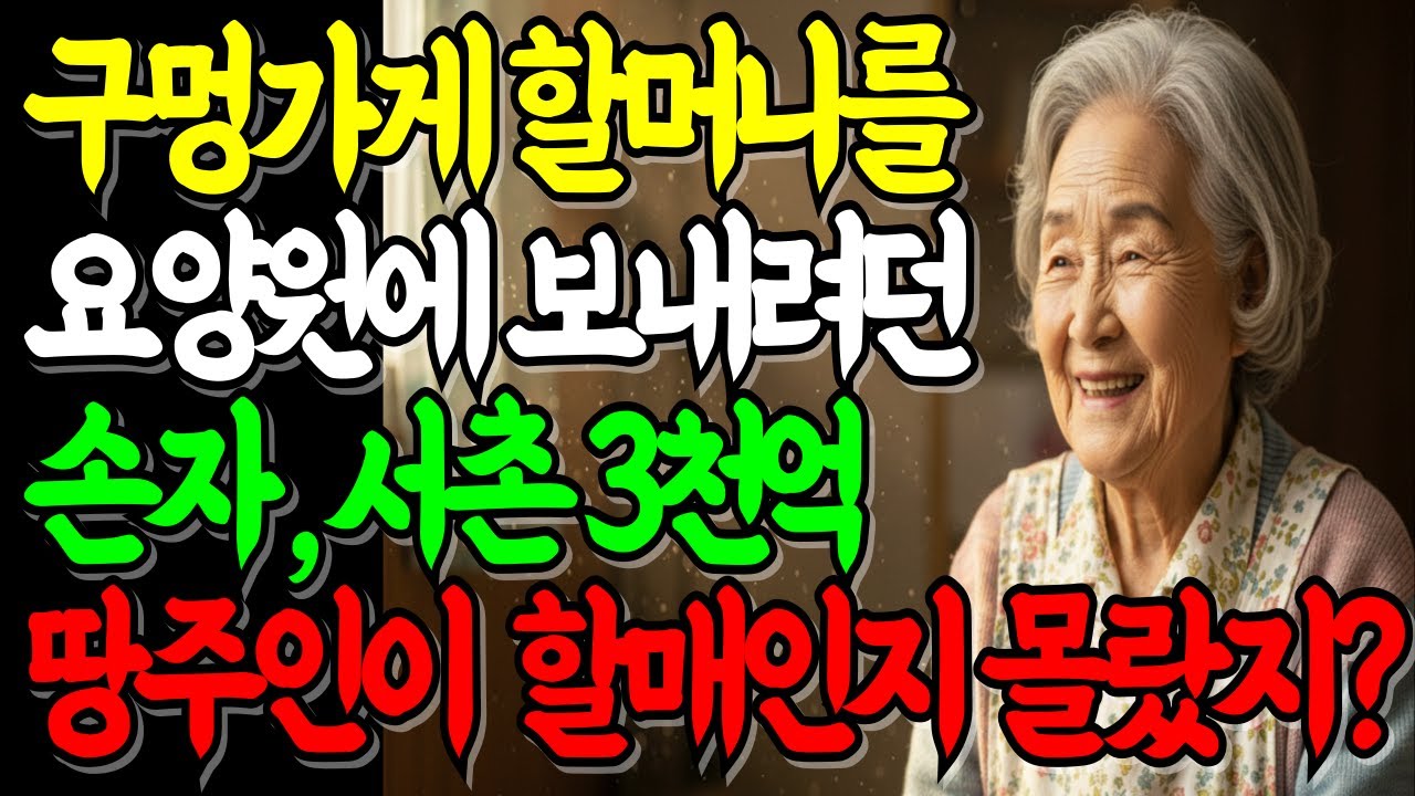 요양원 보낸 구멍가게 할머니 3200억 비밀 반전 오디오북