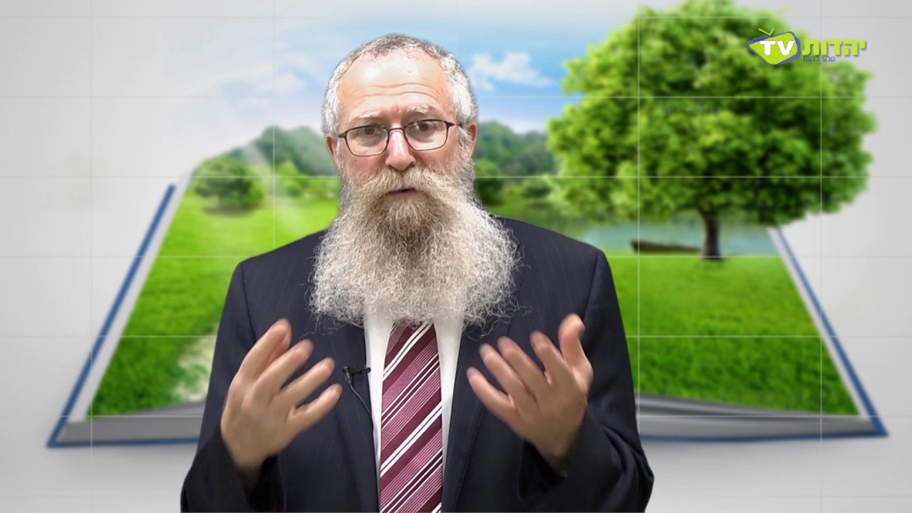 תורתו של משיח - מנחם ברוד