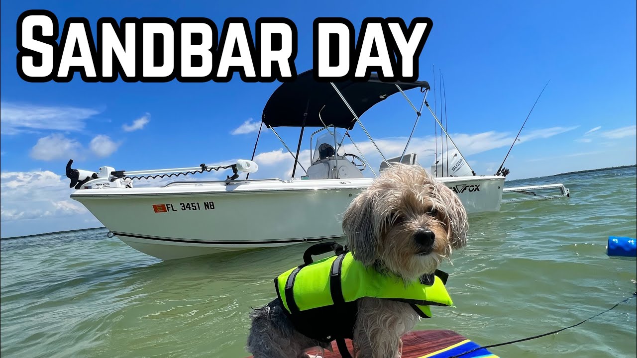 Relaxing Day at the SANDBAR | PRE Hurricane Boating in Southwest Florida