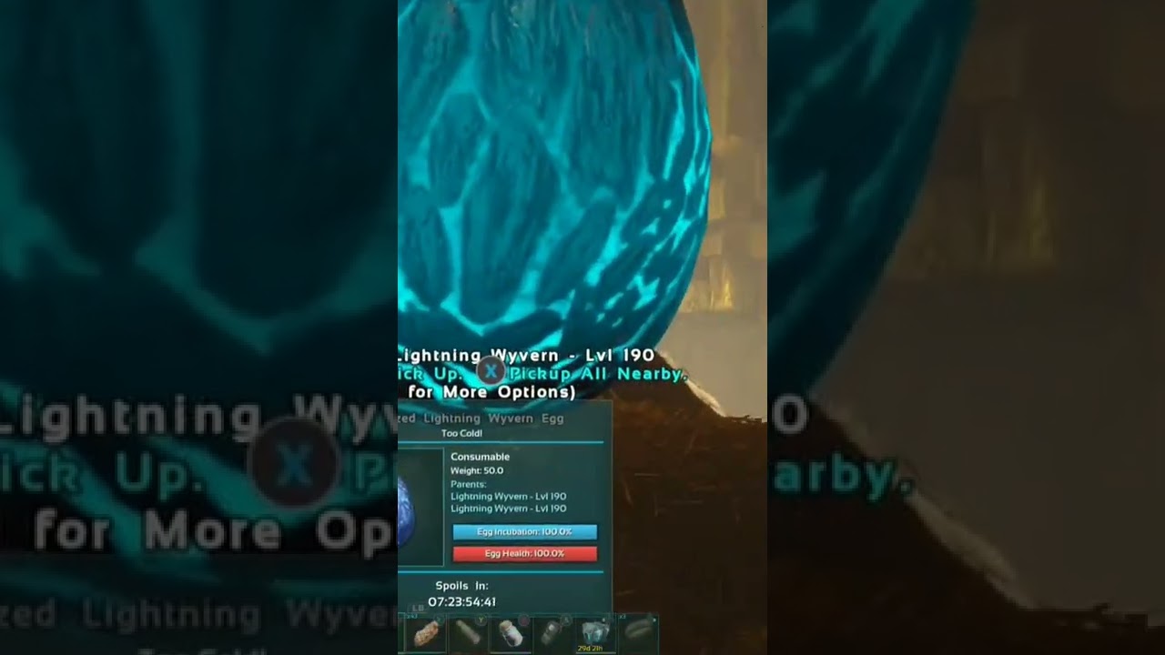 I Found a MAX LEVEL Lightning Wyvern Egg! 