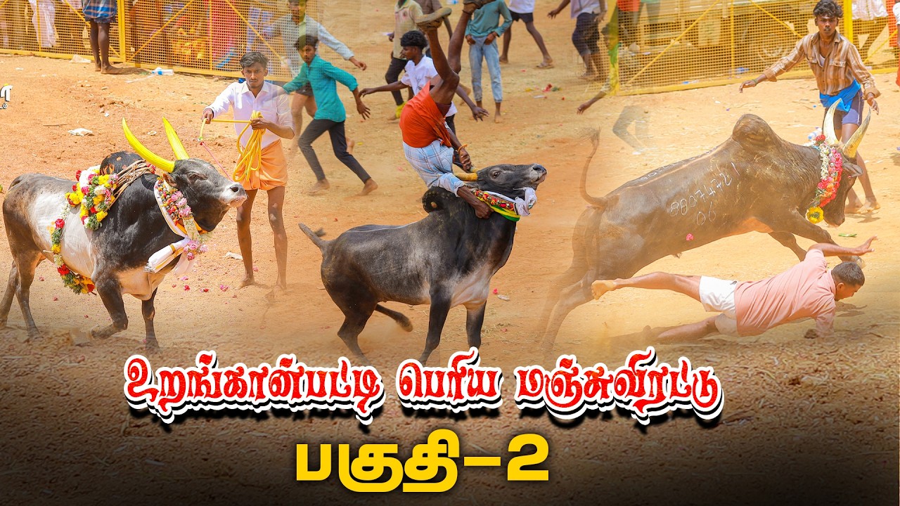 மதுரை மாவட்டம் மேலூர் வட்டம் வெள்ளலூர் நாடு #உலகப்புகழ் #உறங்கான்பட்டி #பெரிய #மஞ்சுவிரட்டு 2026
