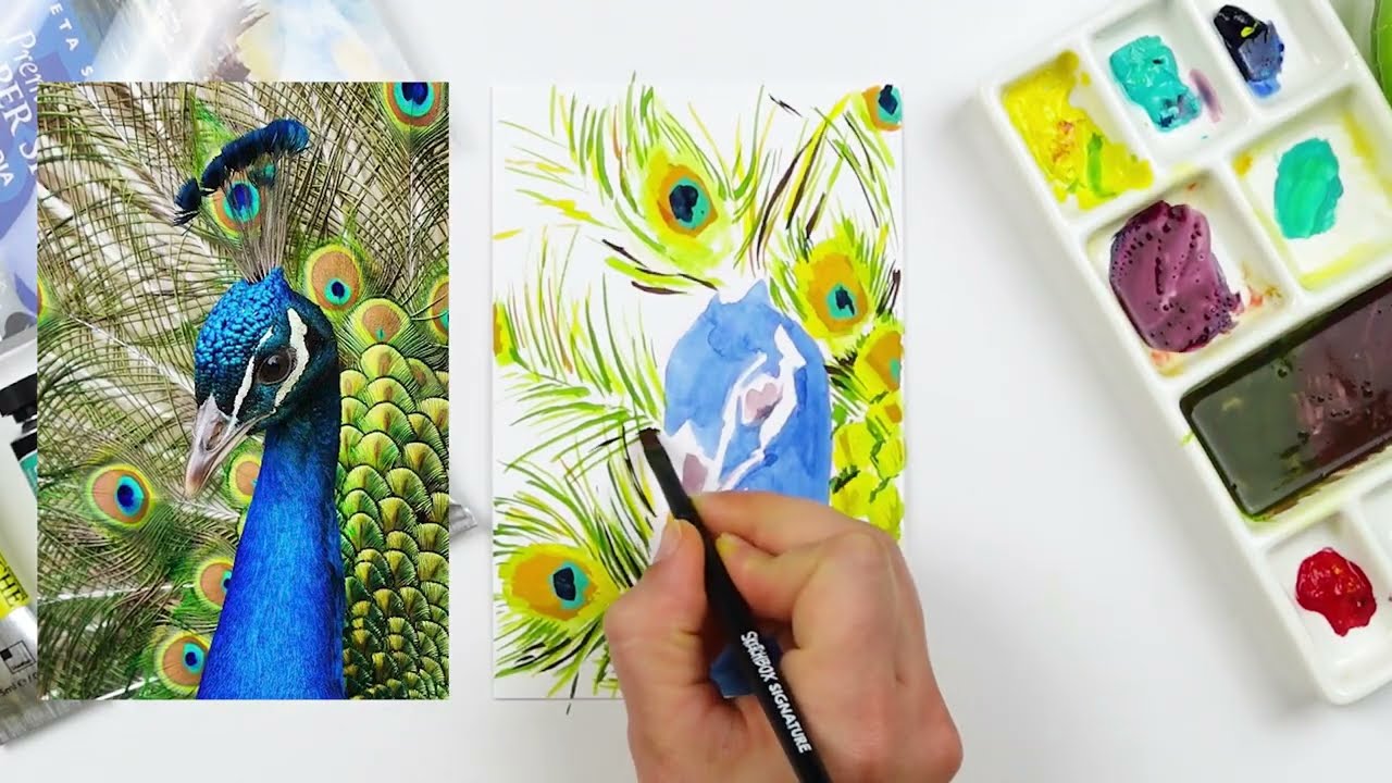 SketchBox: как нарисовать павлина гуашью! (Ноябрь 2025 г.)