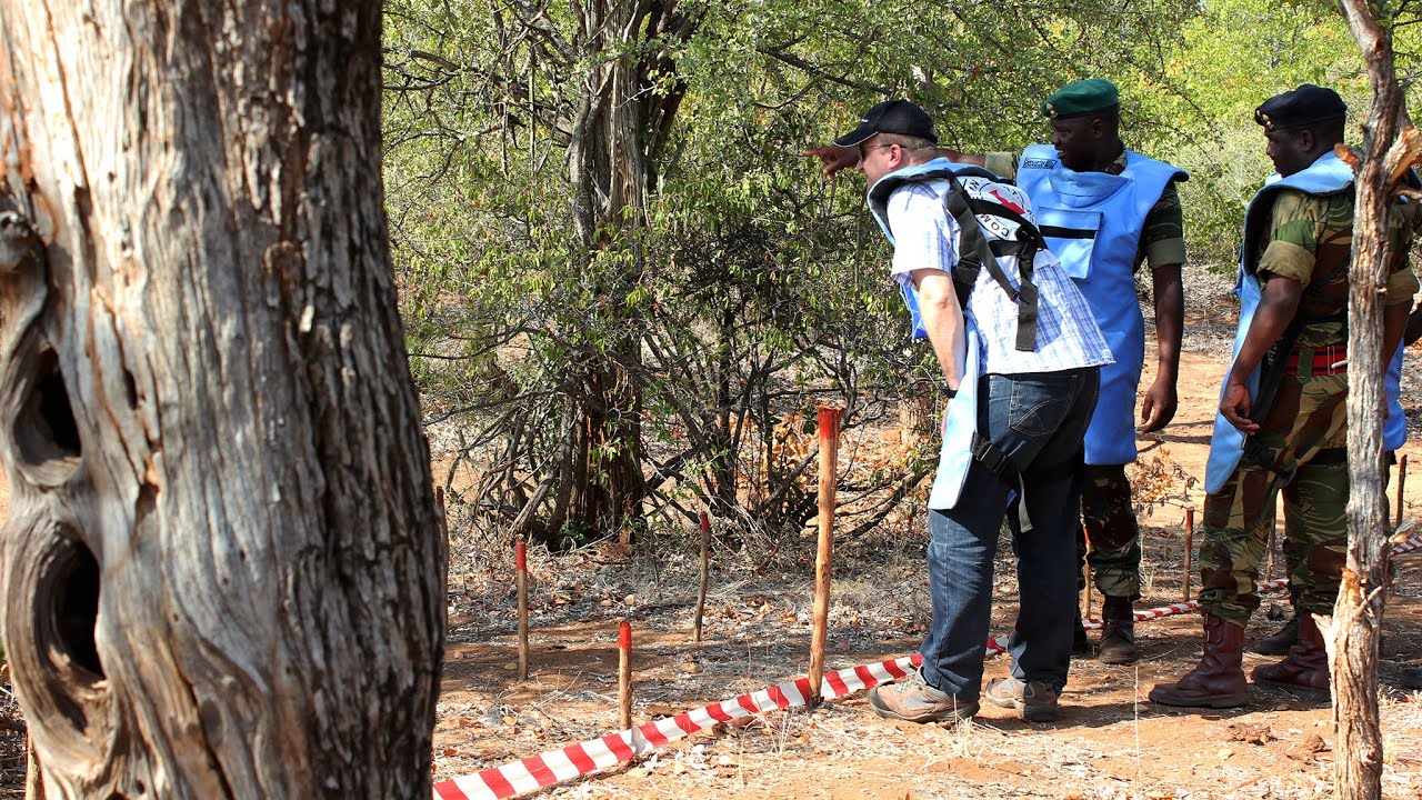 Double stretch: The journey to clearing Zimbabwe’s landmines