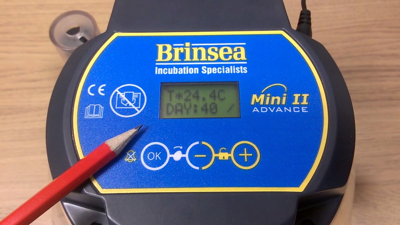 Brinsea Mini II Advance - Why Choose and How to Set up and Use.