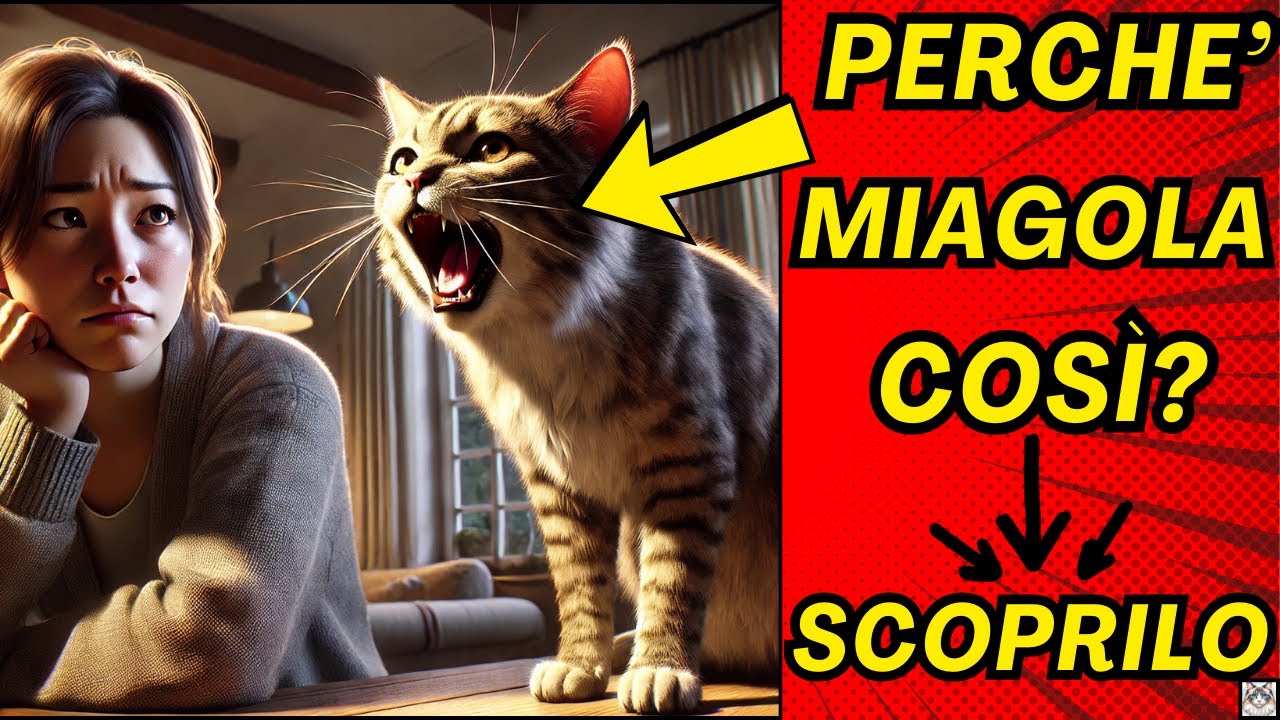10 Segreti sul perché il gatto miagola troppo: Cause e Soluzioni! 🎯