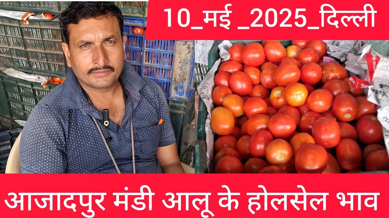 May 10, 2025 दिल्ली 🍅 टमाटर के भाव azadpur Delhi mandi today tomato market delhi fruit market