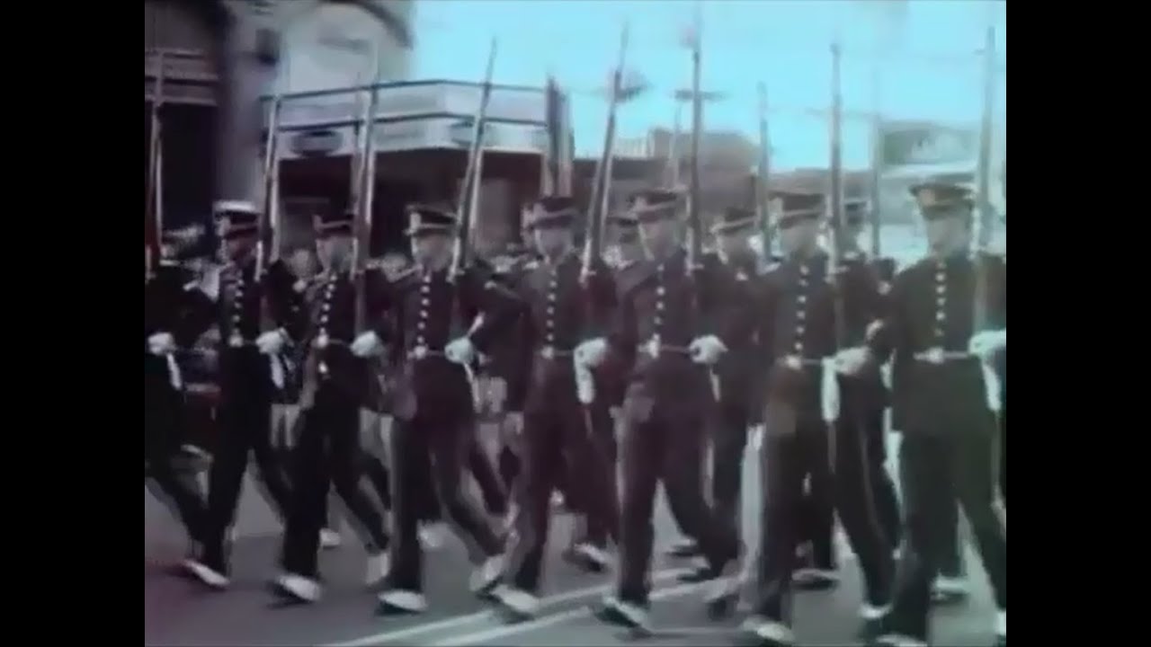 INFORME ESPECIAL PLEBISCITO DEL 80