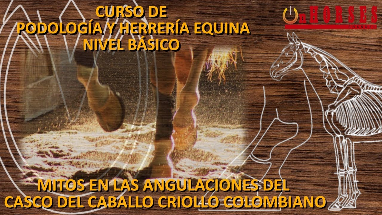 MITOS EN LAS ANGULACIONES DEL CASCO DEL CABALLO CRIOLLO COLOMBIANO - Curso Podología y Herrería