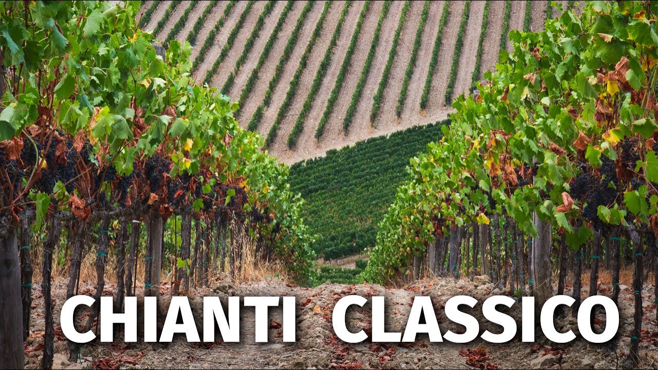 Great Italian Wines: CHIANTI CLASSICO