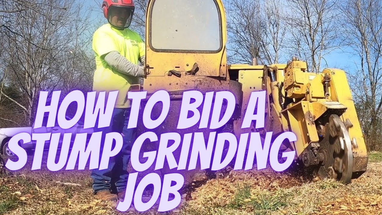 How I bid This Maple Stump