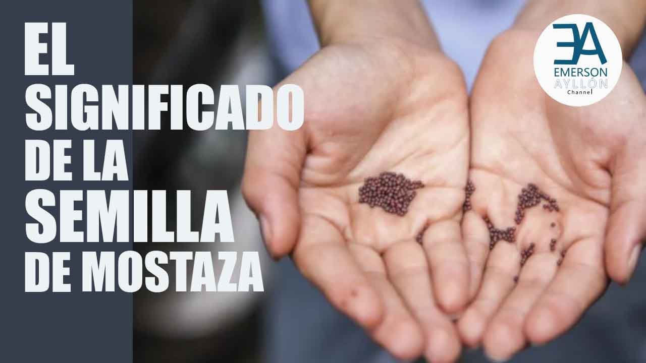 El Significado De La Semilla de Mostaza
