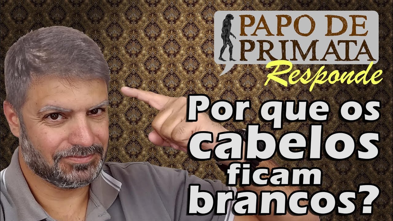 Por que os cabelos ficam brancos? - Papo de Primata Responde