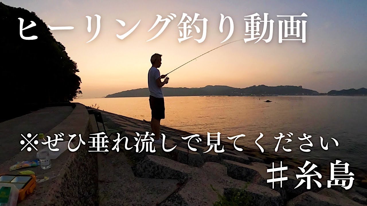 【釣り車中泊】ヒーリング釣り動画です！通勤、仕事の合間等に垂れ流しで見て下さい♪糸島での釣りを美しい自然と心地よい音楽でお届けします…