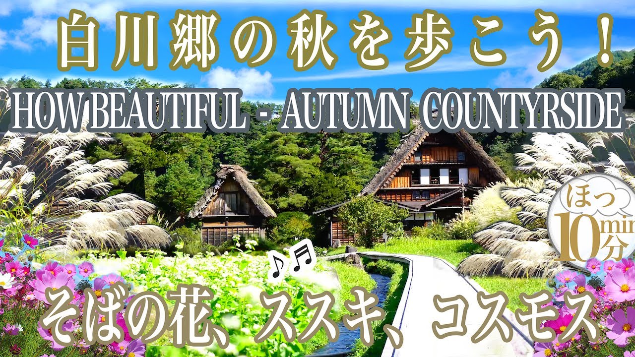 【 白川郷 秋  散策 】STROLLING-( SIRAKAWAGO ), JAPAN AUTUMN