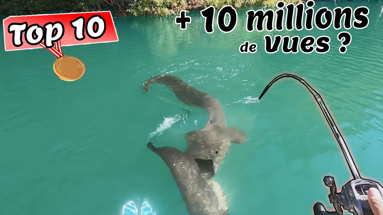 Les 10 Vidéos de Pêche en France LES PLUS VUES !