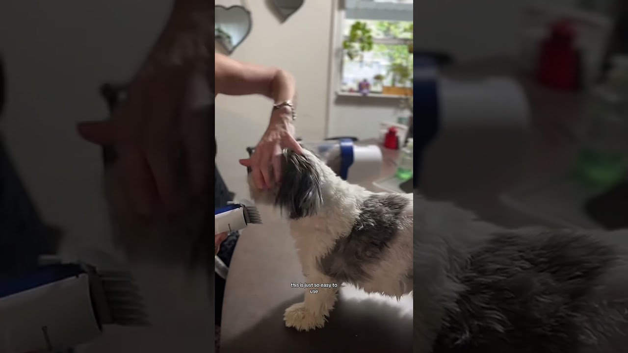 Best At-Home Pet Grooming Vacuum Kit! #petgroomingkit