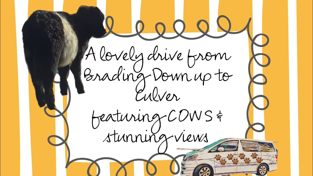 SCENIC DRIVETIME COW #campervanningwithcavaliers #scenic #viewpoint #beach #view #drive #cows #cow