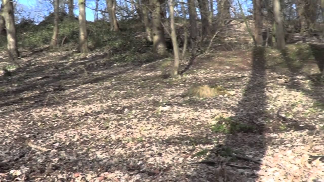 Aqualate Mere Geology